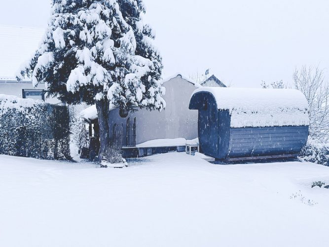 WhatsApp Image 2026-01-26 at 05.59.12